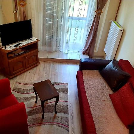Apartman Sergej 2 Sokobanja Eksteriør billede