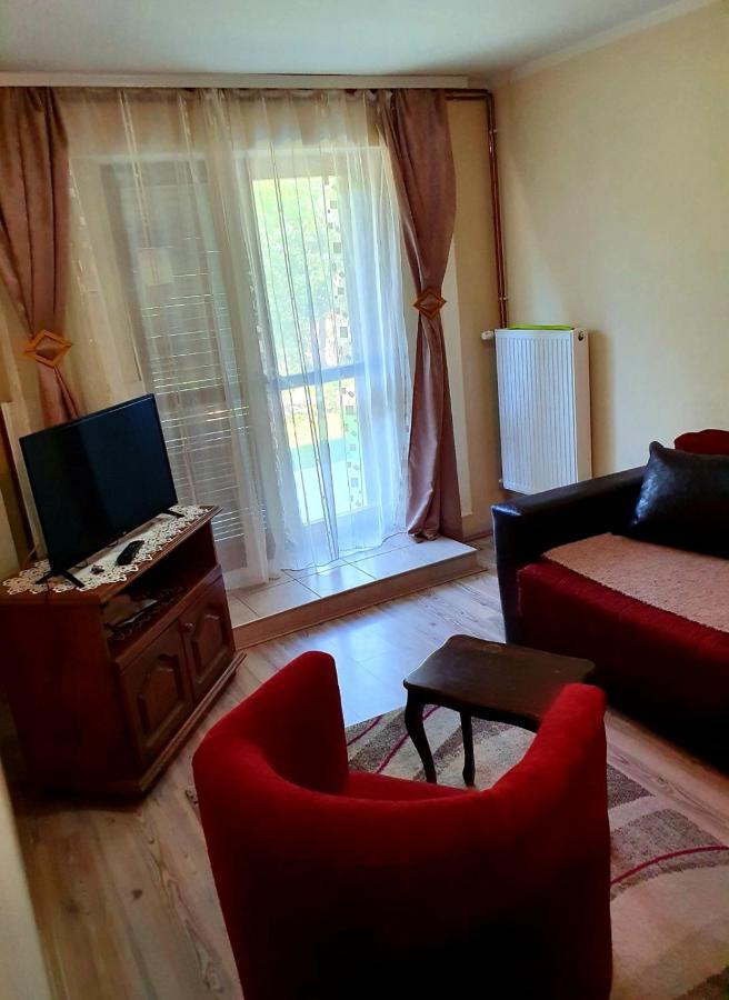 Apartman Sergej 2 Sokobanja Eksteriør billede