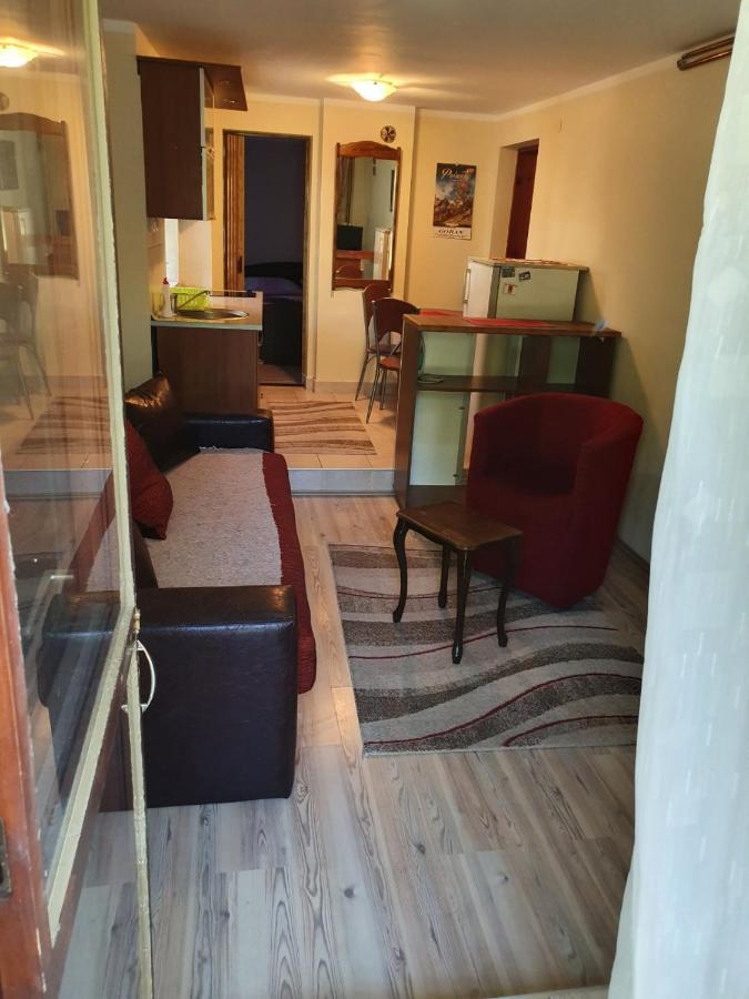 Apartman Sergej 2 Sokobanja Eksteriør billede