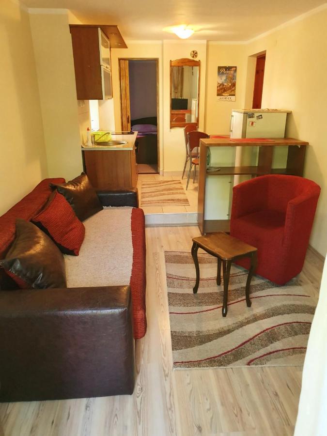 Apartman Sergej 2 Sokobanja Eksteriør billede