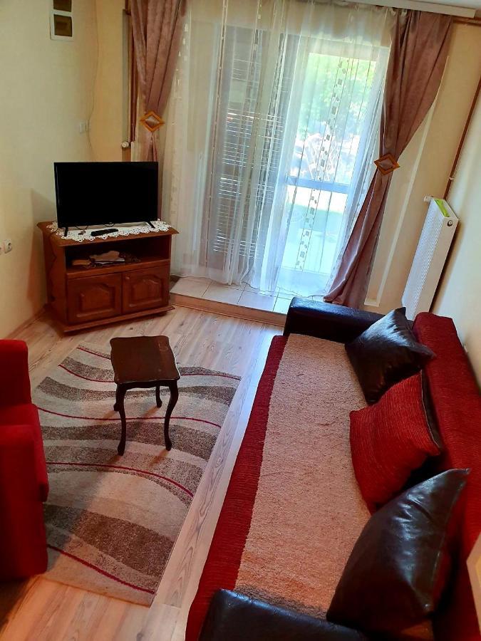 Apartman Sergej 2 Sokobanja Eksteriør billede