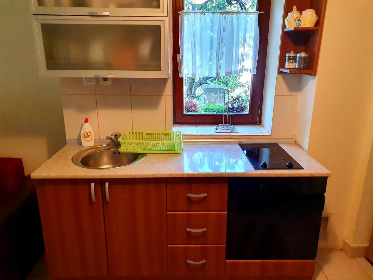 Apartman Sergej 2 Sokobanja Eksteriør billede