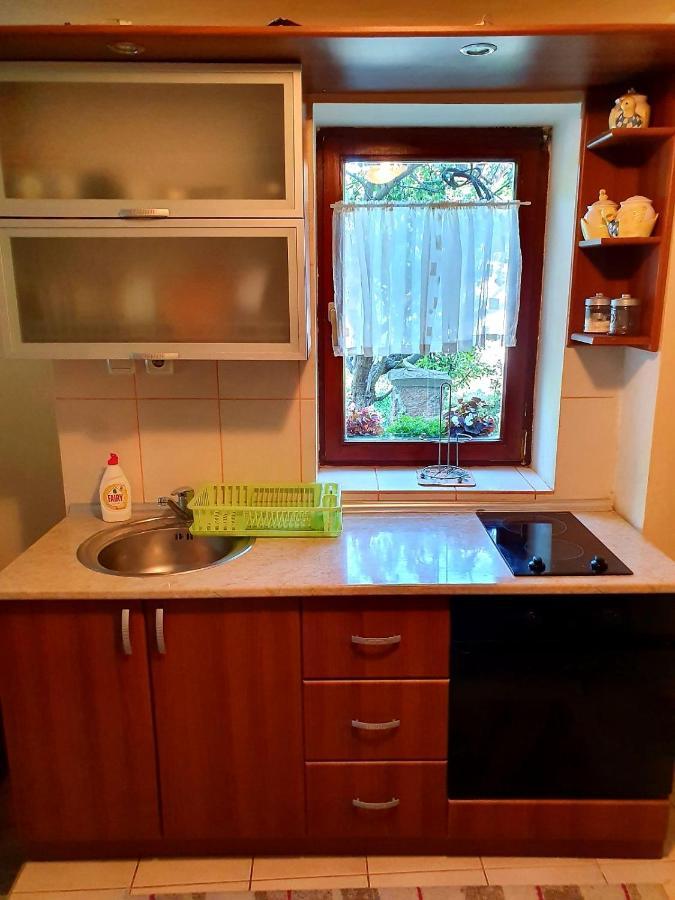 Apartman Sergej 2 Sokobanja Eksteriør billede